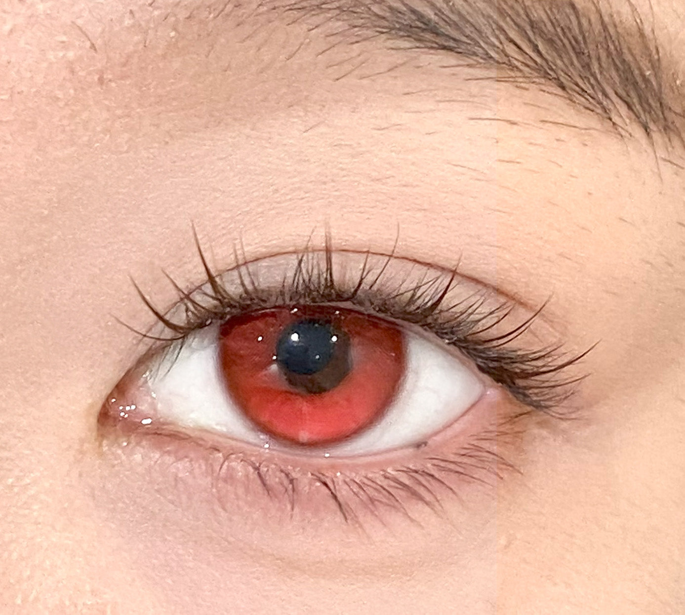 HALF-YEAR | DOYA | Galaxy Red