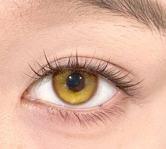 HALF-YEAR | DOYA | Galaxy Yellow