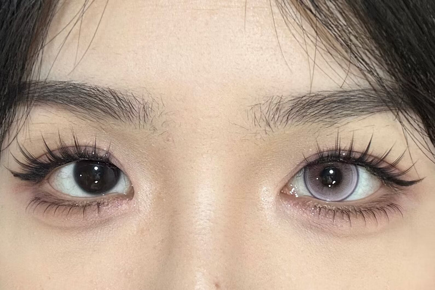 HALF-YEAR | SNTTY | Sugar Sweet Purple