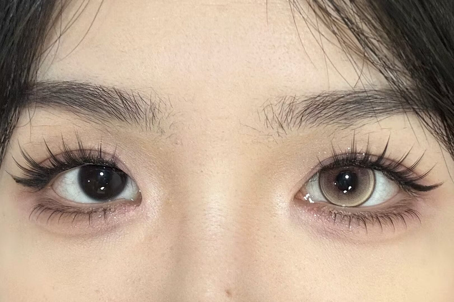 HALF-YEAR | SNTTY | Sugar Sweet Gold