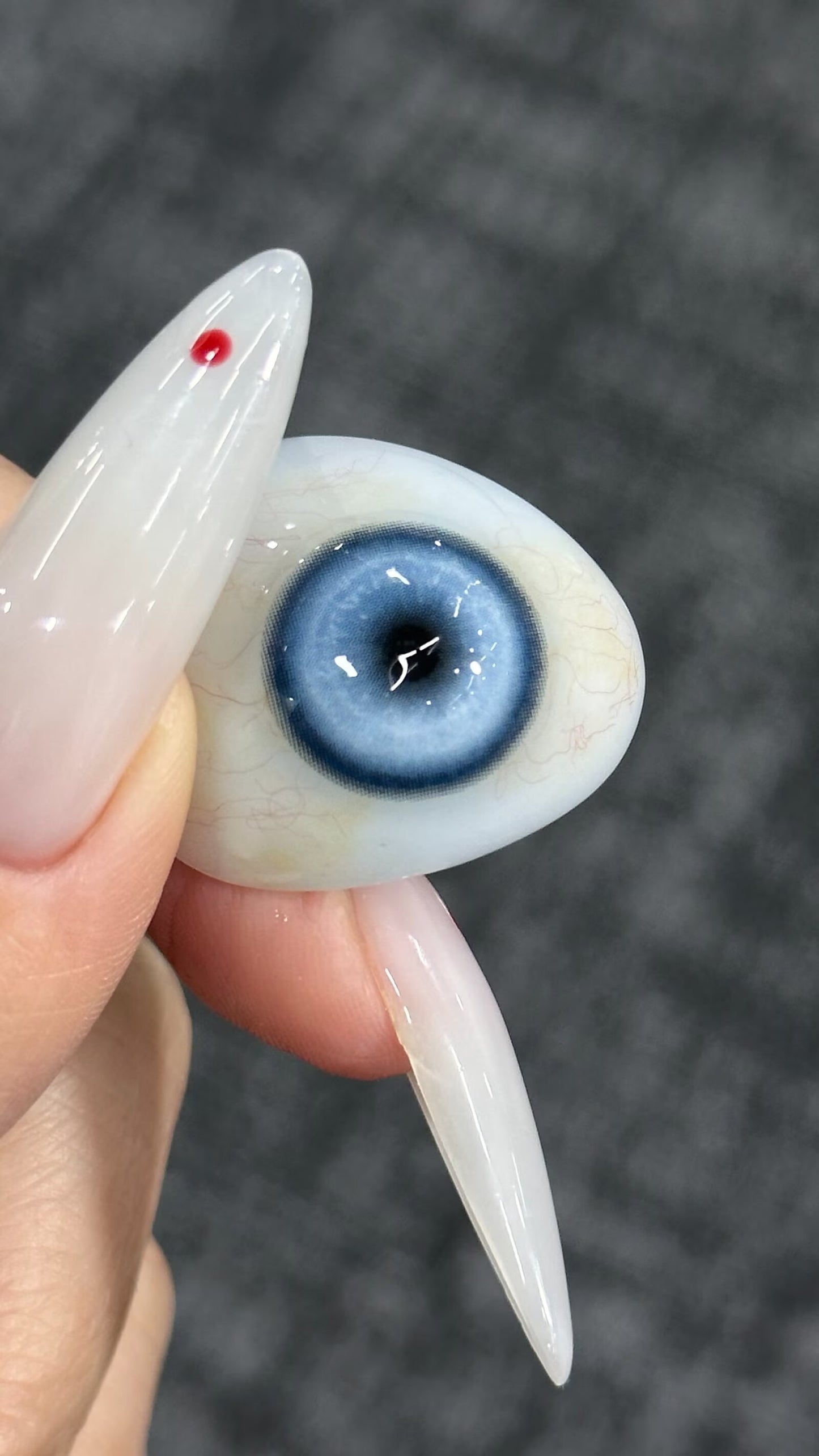 HALF-YEAR | RECO | Koi Blue