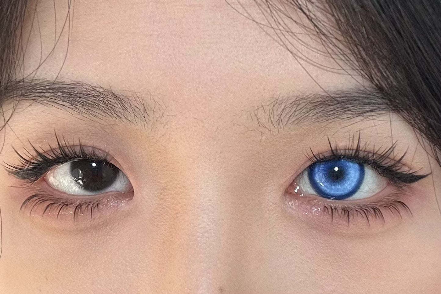 HALF-YEAR | RECO | Koi Dark Blue
