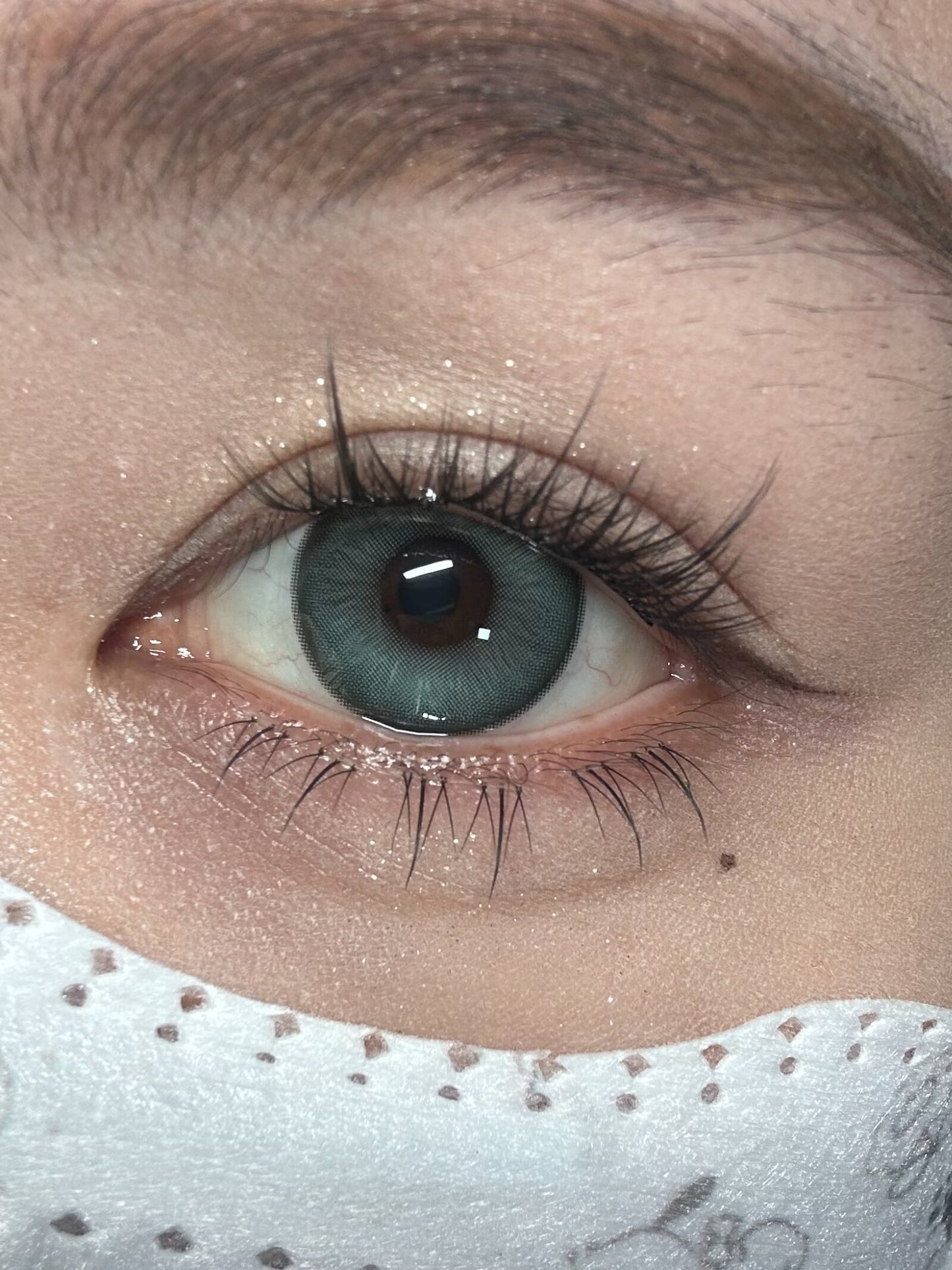 HALF-YEAR | SNTTY | Fragile Green
