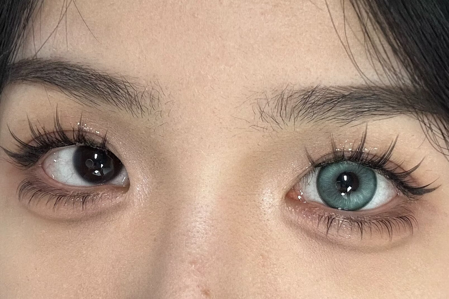 HALF-YEAR | SNTTY | Fragile Green