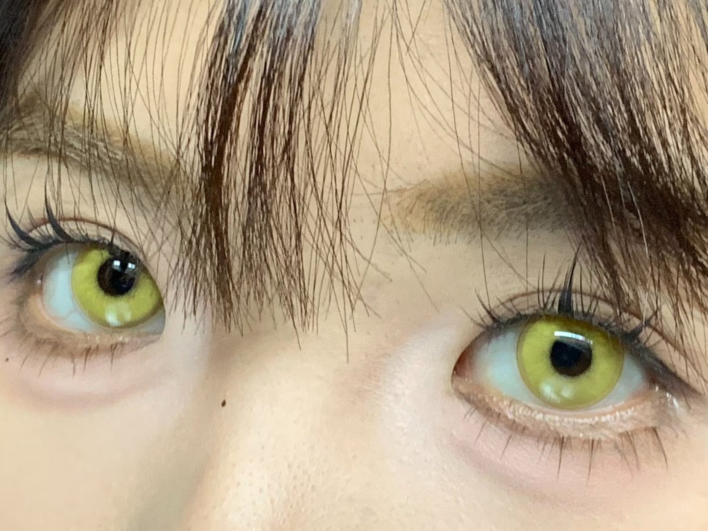 1-DAY | YUKI | Manga Yellow