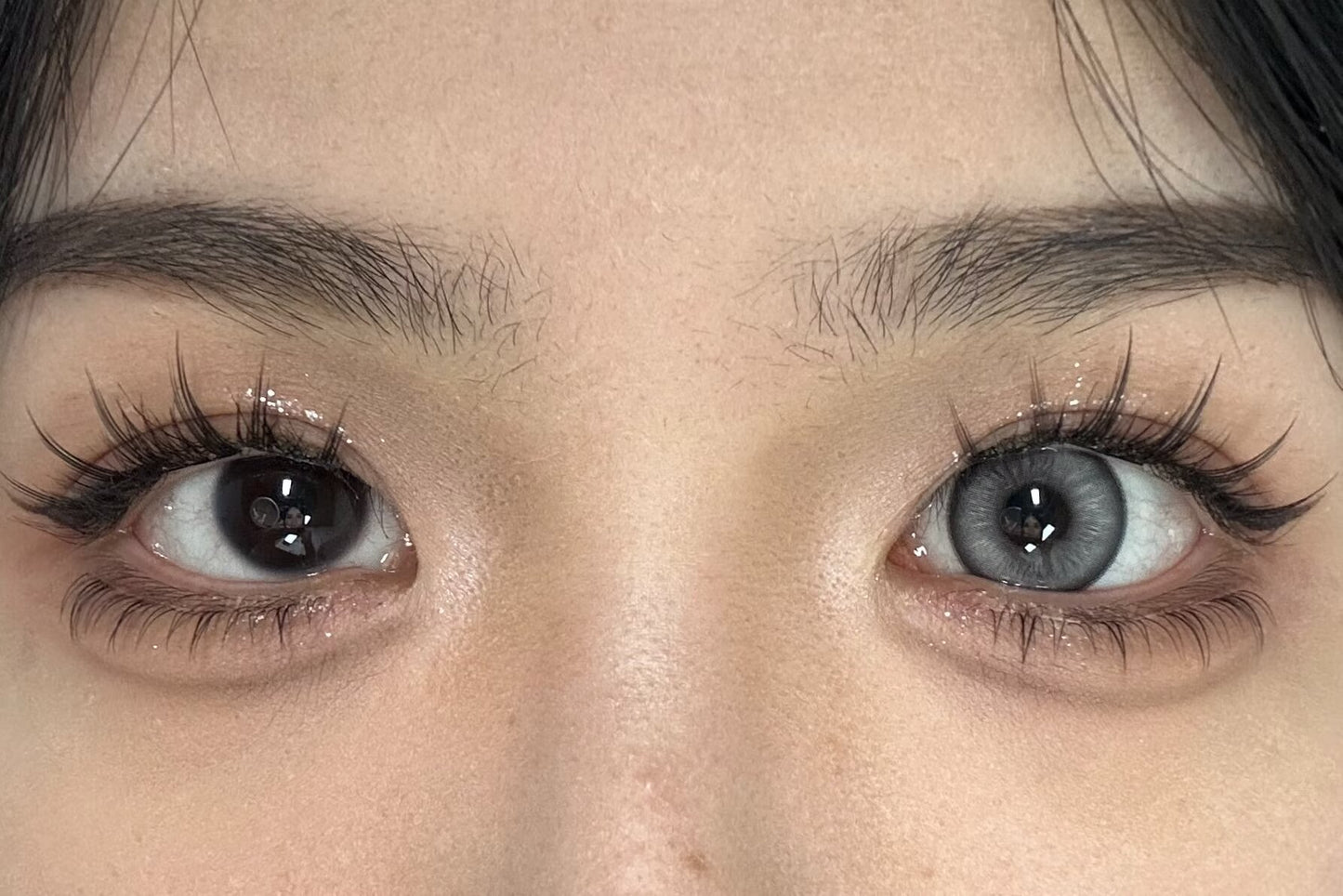 HALF-YEAR | SNTTY | Fragile Gray