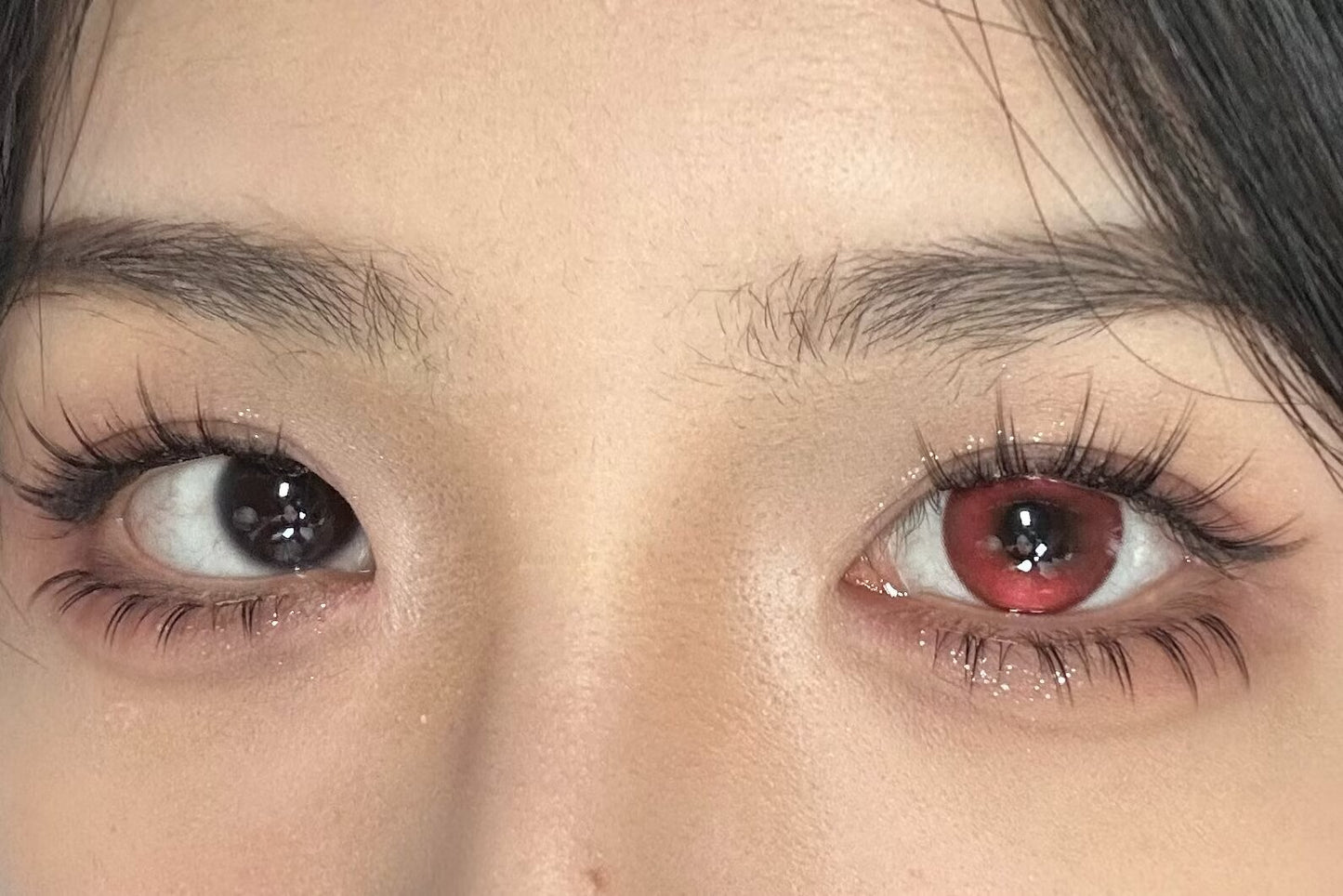 1-DAY | YUKI | Bloody Rose