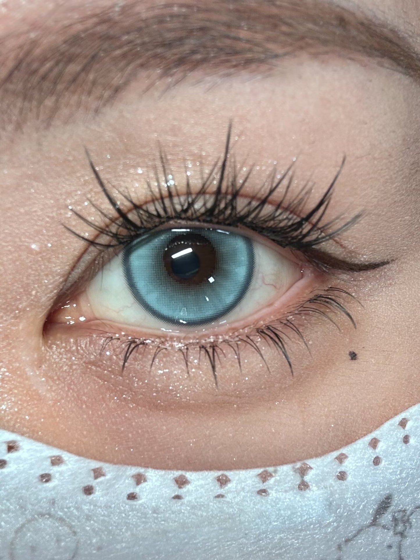 HALF-YEAR | SNTTY | Mint Tea (Blue)